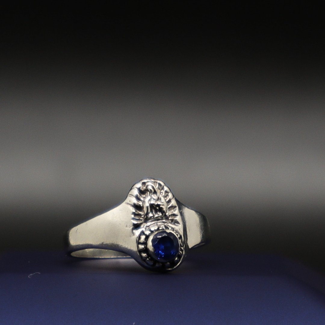 ANILLO PREPA VIRGEN GUADALUPE 