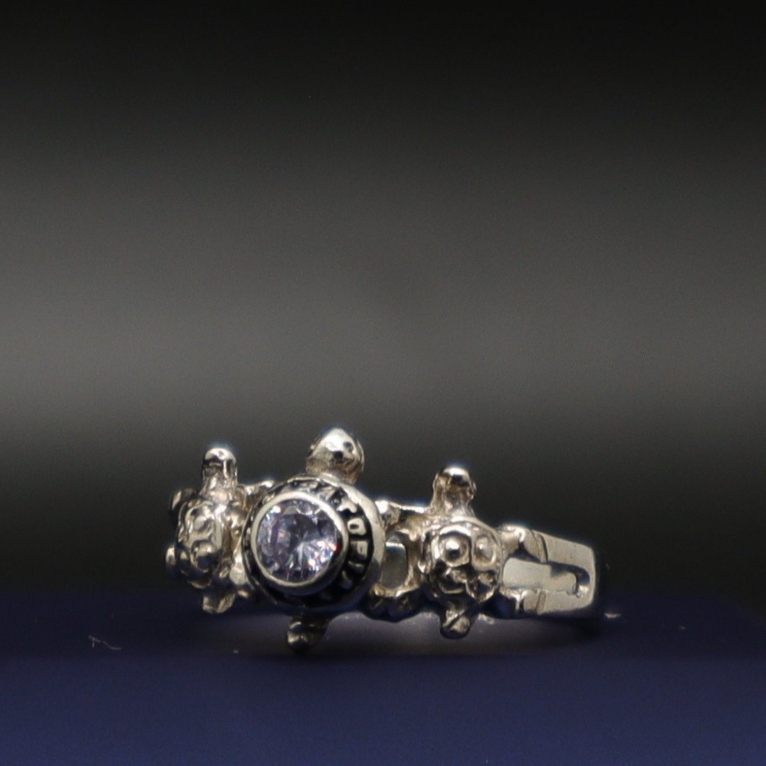 ANILLO TORTUGAS 