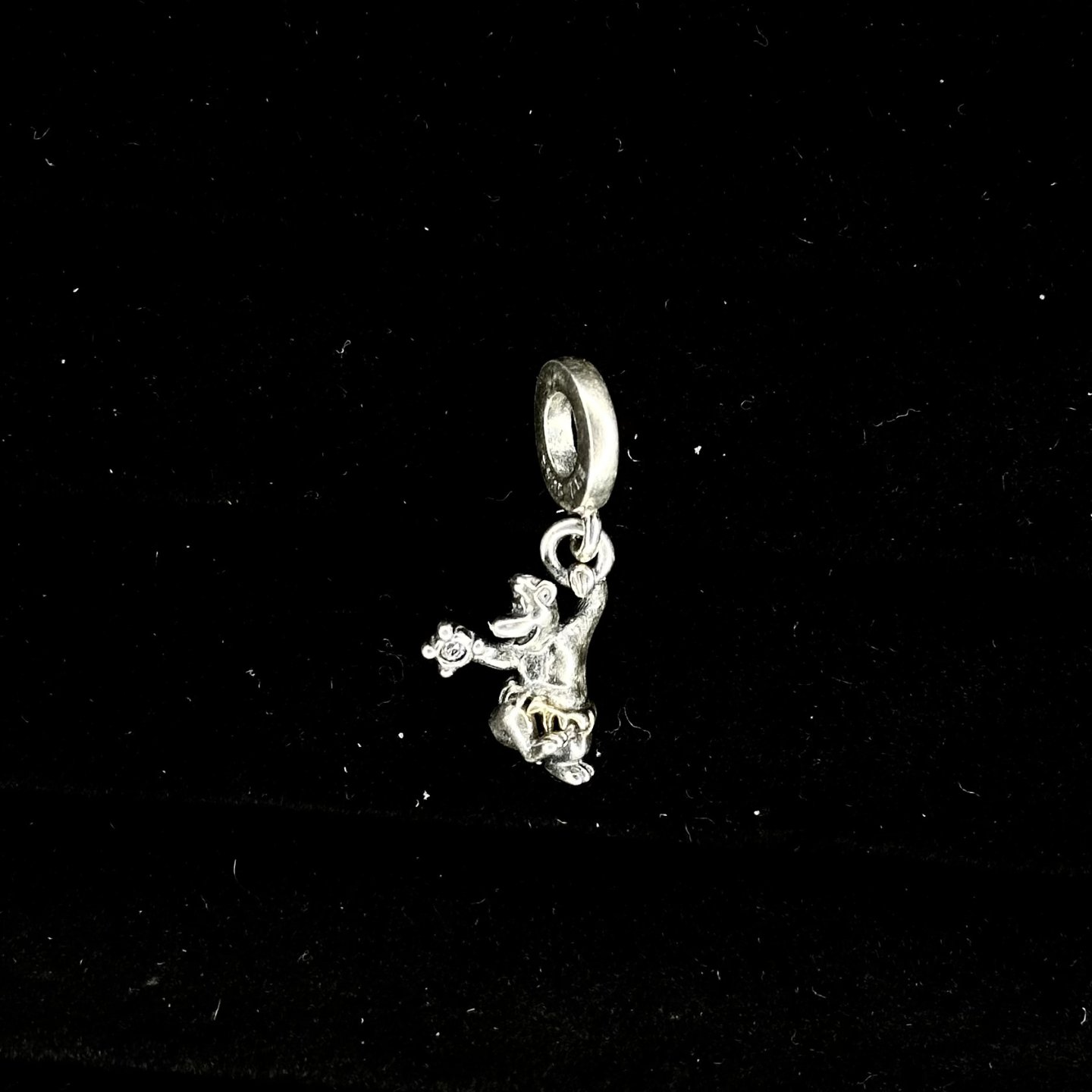 CHARM ESTILO BALOO 
